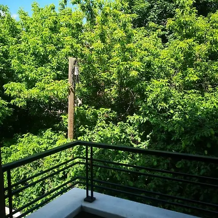 Ana's Βελιγράδι